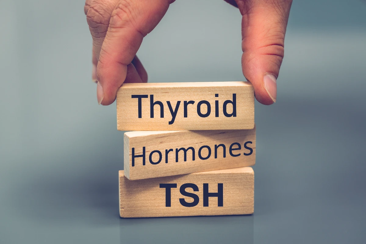 TSH thyroid stimulating hormone